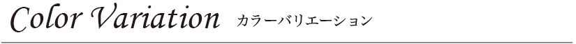 カラーバリエーション