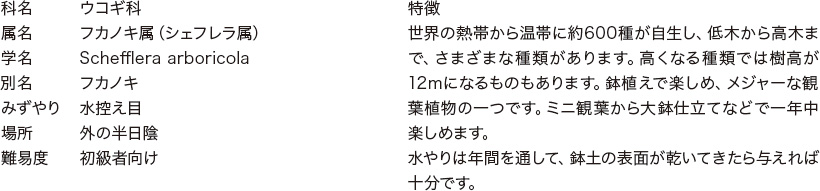 シェフレラの特徴