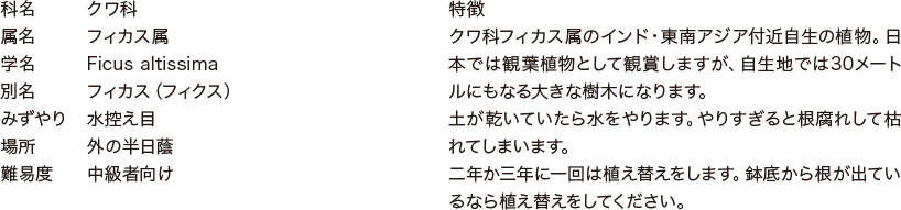 アルテシーマ・バリエガータの特徴